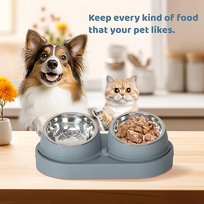 SAROSORA Cat Feeder Stainless Steel Bowl, Pet Food and Water Bowl Dishes - Image 7