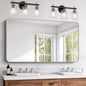 FORBATH 30x55 Inch Silver Bathroom Mirror by FORBATH