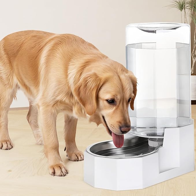 Sfozstra Automatic Pet Water Dispenser: 8L White Gravity Stainless Steel Water - Image 7