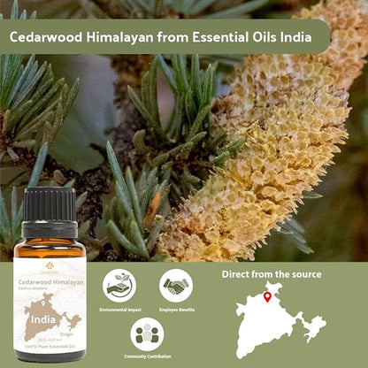 Cedarwood Essential Oil - Image 4