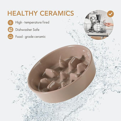 Ceramic 1.2 Cup Raised Slow Feeder Dog Bowl Set, Elevated 6.1inch Bowl and - Image 4