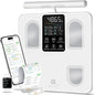 arboleaf Scale for Body Weight, Smart Scale by arboleaf