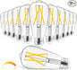 Hizashi Vintage LED Edison Bulb Dimmable, 6W Equivalent 60W, 3000k Soft White by HIZASHI