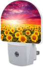 sndheke Sunflowers with Sunset Night Light by sndheke