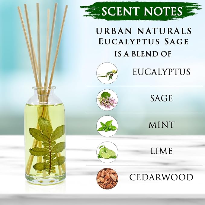 Urban Naturals Eucalyptus Sage Reed Diffuser Oil Gift Set | Eucalyptus - Image 5