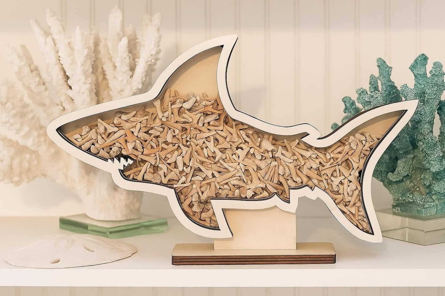 Shark Tooth Display Case XL 14” – Megalodon-Shaped Shark Teeth Holder for Collectors – Wooden Display for Fossilized Shark Teeth – Shark Tooth Holder Coastal Décor by Fossil King