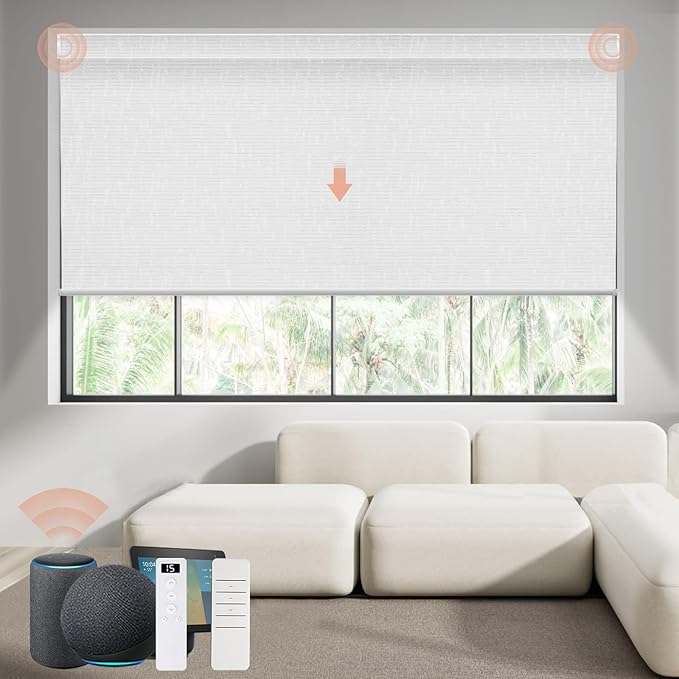 Motorized Blinds Roller Shade by Canisteo