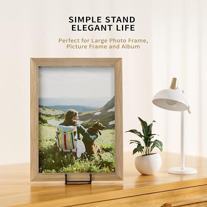 IPAME 8 Inch Large Plate Stands - Image 6