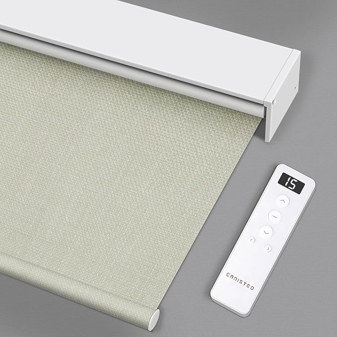 Motorized Blinds Roller Shade by Canisteo