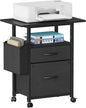 GYIIYUO 2 Drawer File Cabinet by GYIIYUO