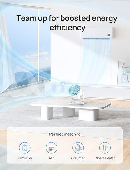 Dreo Fan for Bedroom, 12 Inches, 70ft Powerful Airflow, 28db Quiet Table Air - Image 7