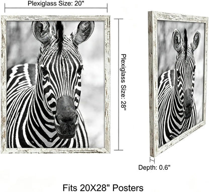 20x28 Poster Frame,Distressed,Engineered Wood with Polished Plexiglass | Large Wide Picture Frames for Vertical or Horizontal Wall Display,Fits Photos,Art Prints,FSC Certified Eco-Friendly,2 Pack