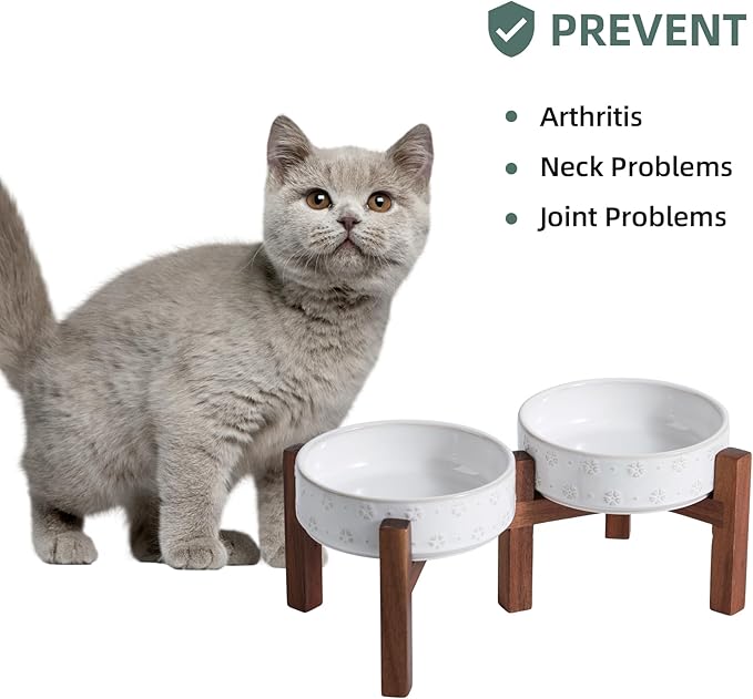 6.1inch Ceramic Raised Double Bowls Set - Image 6
