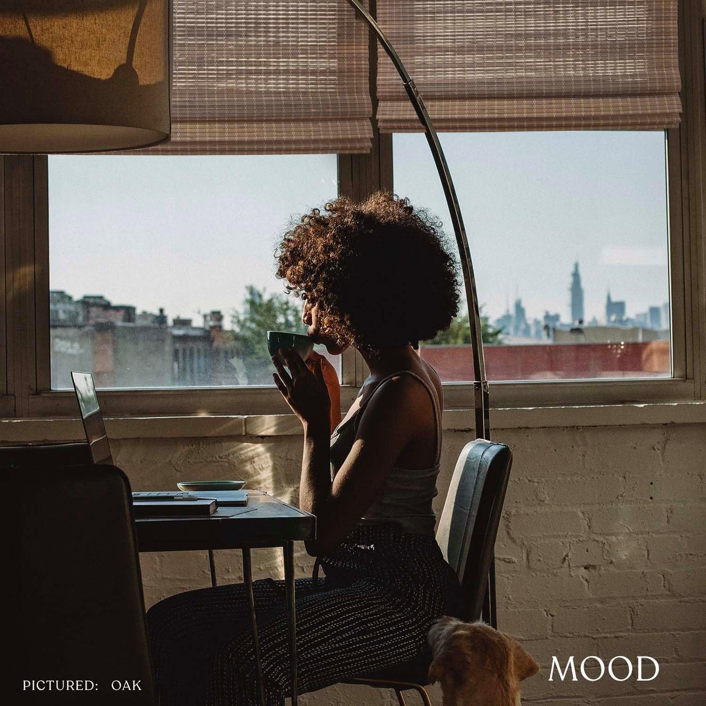 MOOD Custom Bamboo Shades | Rustic | Top Down Bottom Up Cordless | Bamboo Roman Shades for Windows and Doors (Natural Woven) | Rustic Oak (Great Privacy) | 56" W x 60" H