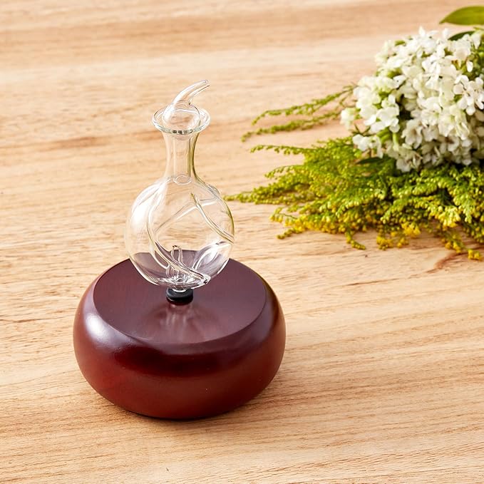 Nebulizing Pure Essential Oil Aromatherapy Diffuser, Premium Home & - Image 4