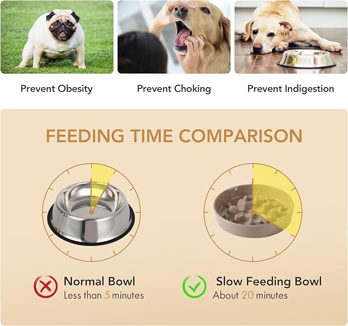 Ceramic 1.6 Cup Dog Raised Slow Feeder Set, Elevated Bowl - Image 5