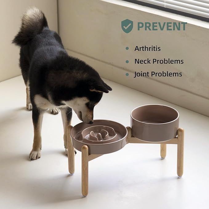 Ceramic Raised Slow Feeder Dog Bowl Set, Elevated 7.3inch Bowl and 8.2inch - Image 5