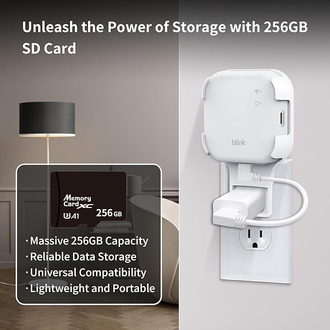 256GB MicroSD Card & Wall Mount - Image 3