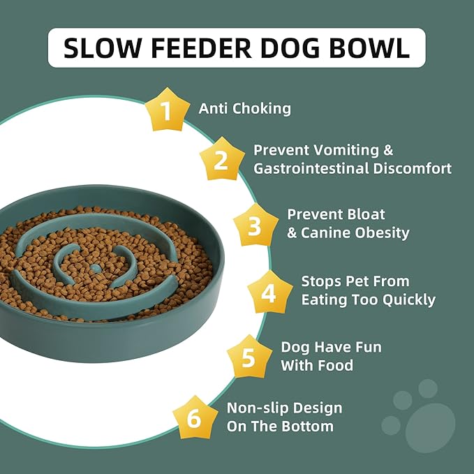 Ceramic 1.6 Cup Slow Feeder Dog Bowl - Image 5