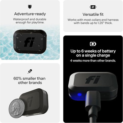 Fi Mini GPS Tracker for Dogs — 12-Month Membership Included — Smart Pet - Image 6