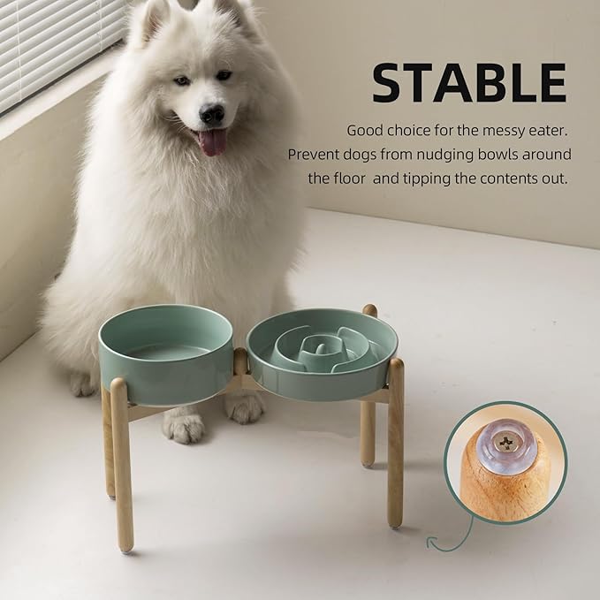 3.2 Cup Ceramic Raised Slow Feeder Dog Bowl Set, Elevated 8.2inch Bowl and - Image 6