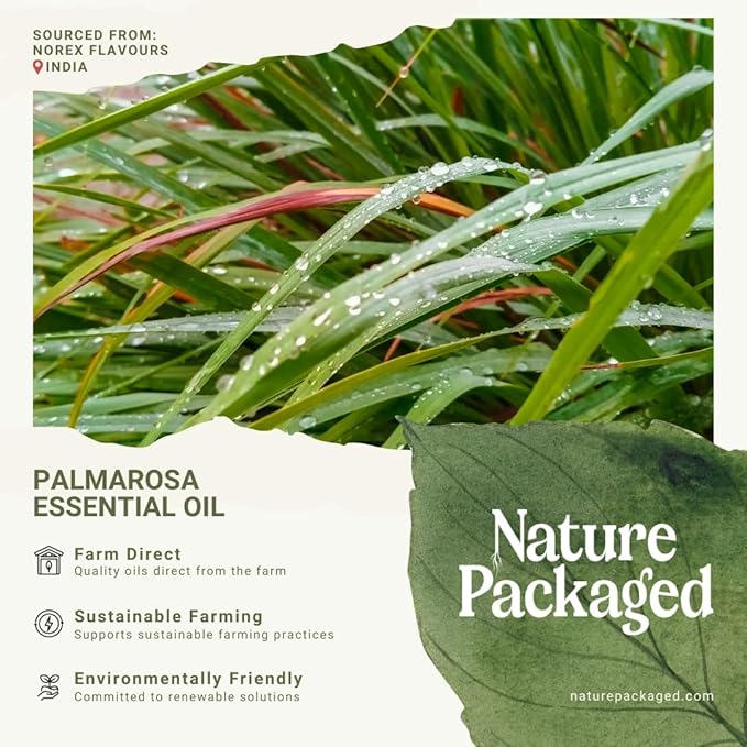 Palmarosa Essential Oil Direct from Norex Flavours India - Image 7