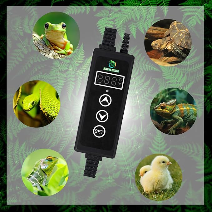 Reptile Dimming Thermostat, PID Thermostats - Image 7