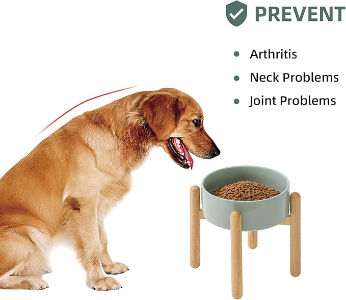 Ceramic 8.2inch Raised Dog Bowl - Image 5