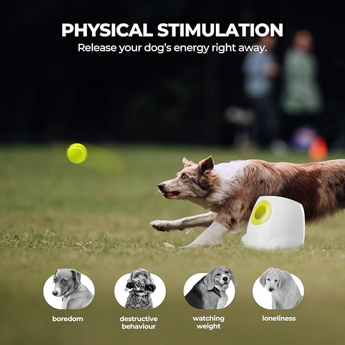 ALL FOR PAWS Automatic Dog Ball Launcher for Medium to Large Dogs, Interactive - Image 3