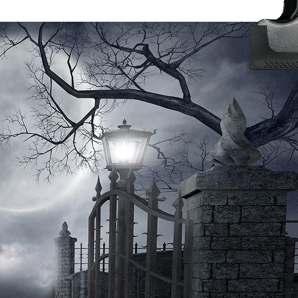 Halloween Night Full Moon Backdrop Gloomy Woods Graveyard Photography Backgro...