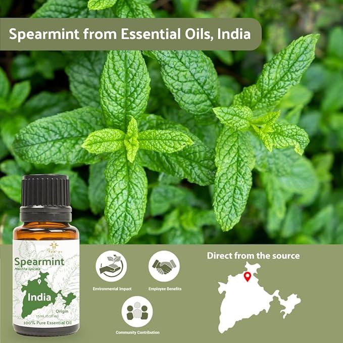Spearmint Essential Oil - Image 4