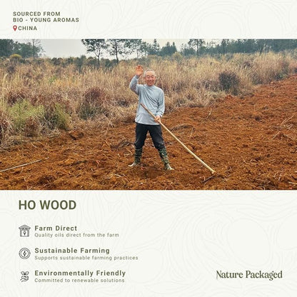 Ho Wood Essential Oil Direct from Malagassi - Image 3