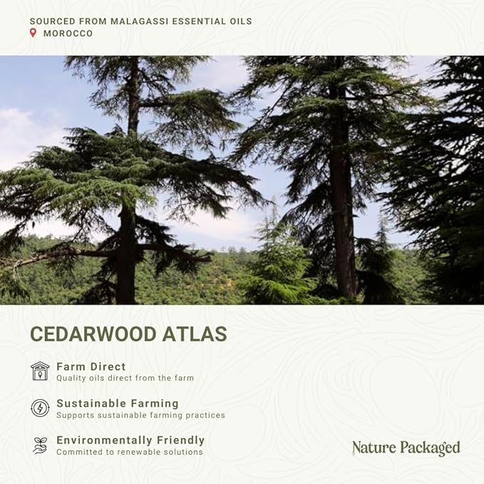 Cedarwood Atlas Essential Oil - Image 3