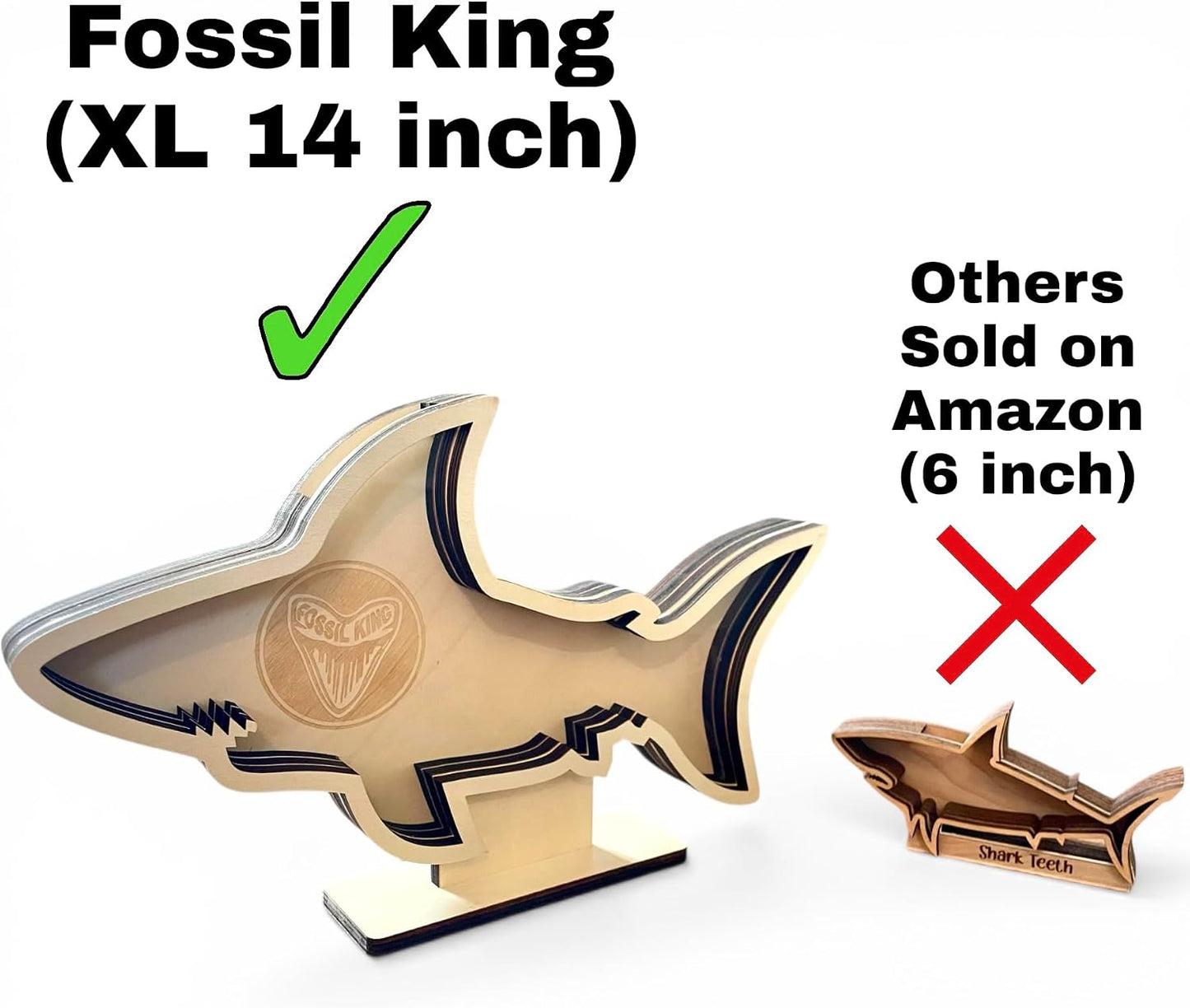 Shark Tooth Display Case XL 14” – Megalodon-Shaped Shark Teeth Holder for Collectors – Wooden Display for Fossilized Shark Teeth – Shark Tooth Holder Coastal Décor by Fossil King