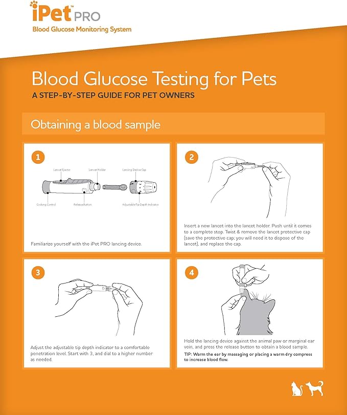 iPet PRO Blood Glucose Monitoring System Designed - Image 6
