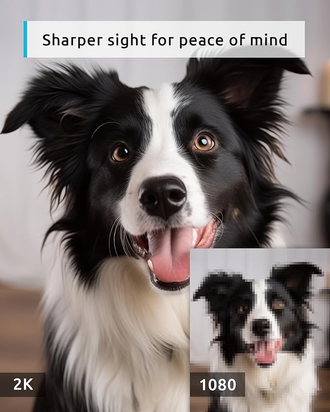 blurams 5G Pet Camera 2K, 360° PTZ Dog Camera - Image 2
