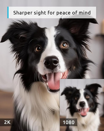 blurams 5G Pet Camera 2K, 360° PTZ Dog Camera - Image 2