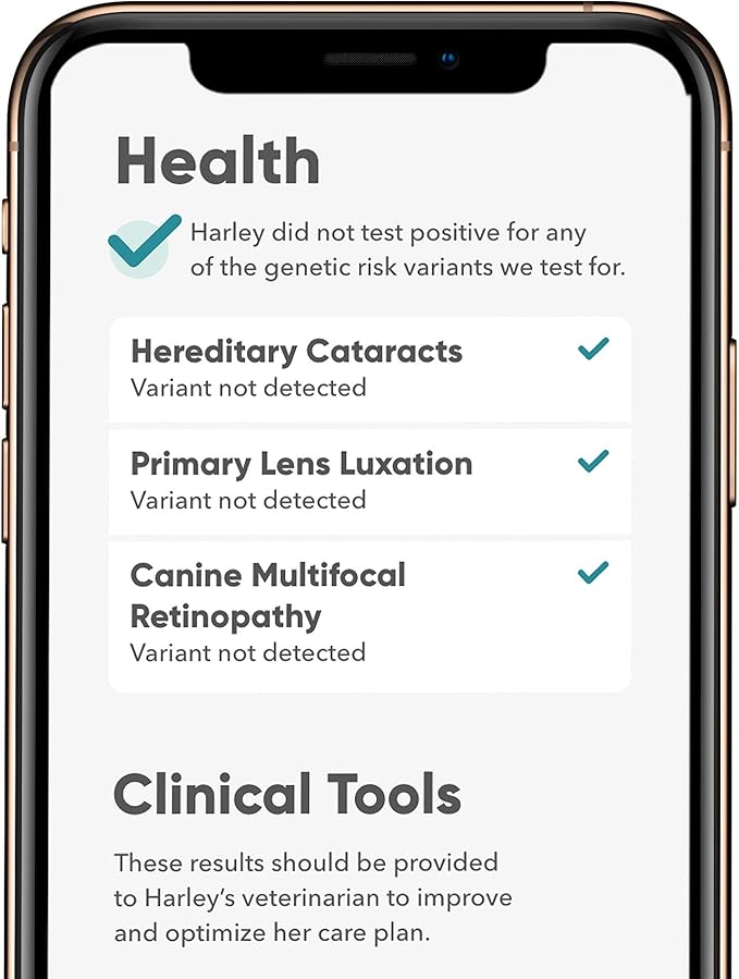 Embark Breed & Health Kit - Image 4