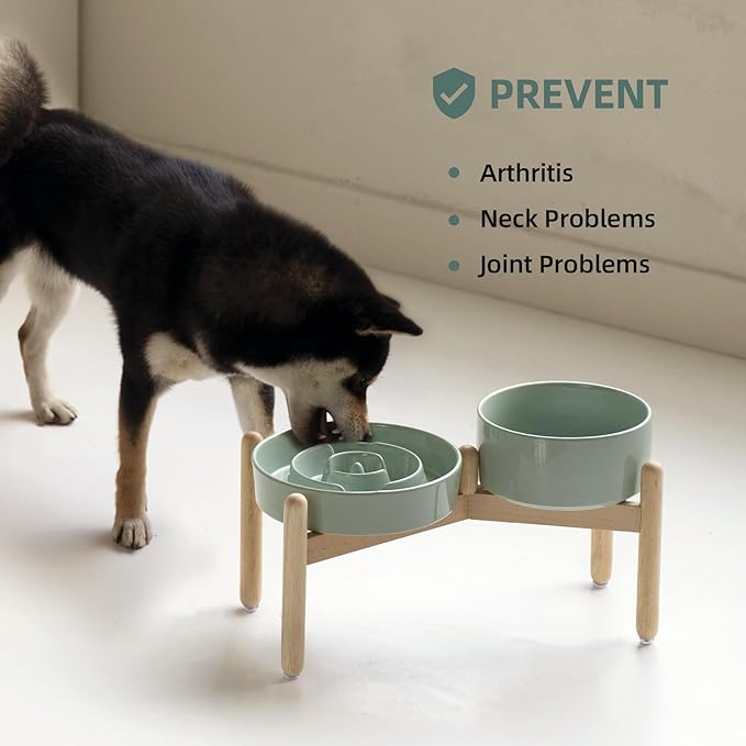 Ceramic Raised Slow Feeder Dog Bowl Set, Elevated 7.3inch Bowl and 8.2inch - Image 5
