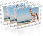 Chivalral 3 Pack 4x6 Acrylic Picture Frame, Double-Sided Tabletop Display | Scalloped Edge Design,10+10mmThick,Magnetic Photo Frames,Horizontal/Vertical,Gift for Birthday Wedding Anniversary,Home decor