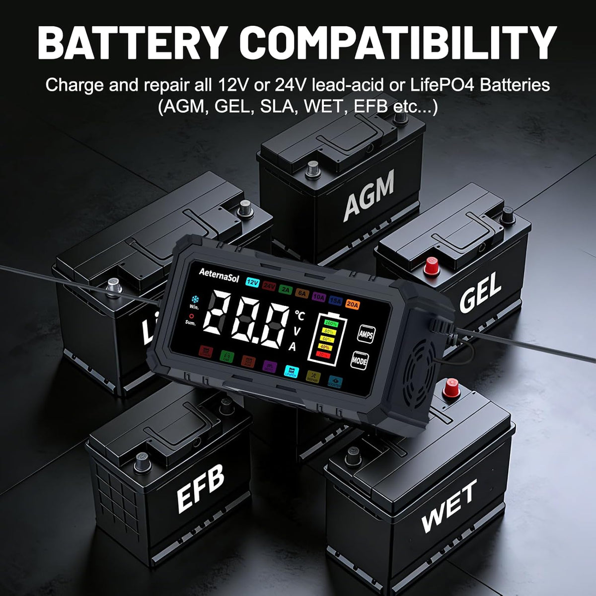 20A Smart Car Battery Charger, 12V/24V Trickle Charger Maintainer (Black)