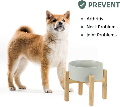 Ceramic Raised Dog Bowl Set, Elevated - Image 5