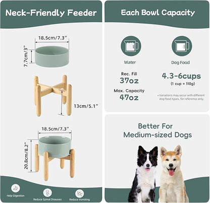 Ceramic 7.3inch Raised Dog Bowl Set, Elevated - Image 2