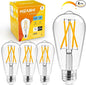 Hizashi Dimmable Edison Bulbs 60 Watt LED, E26 Bulb 2700K Warm White ST19 by HIZASHI