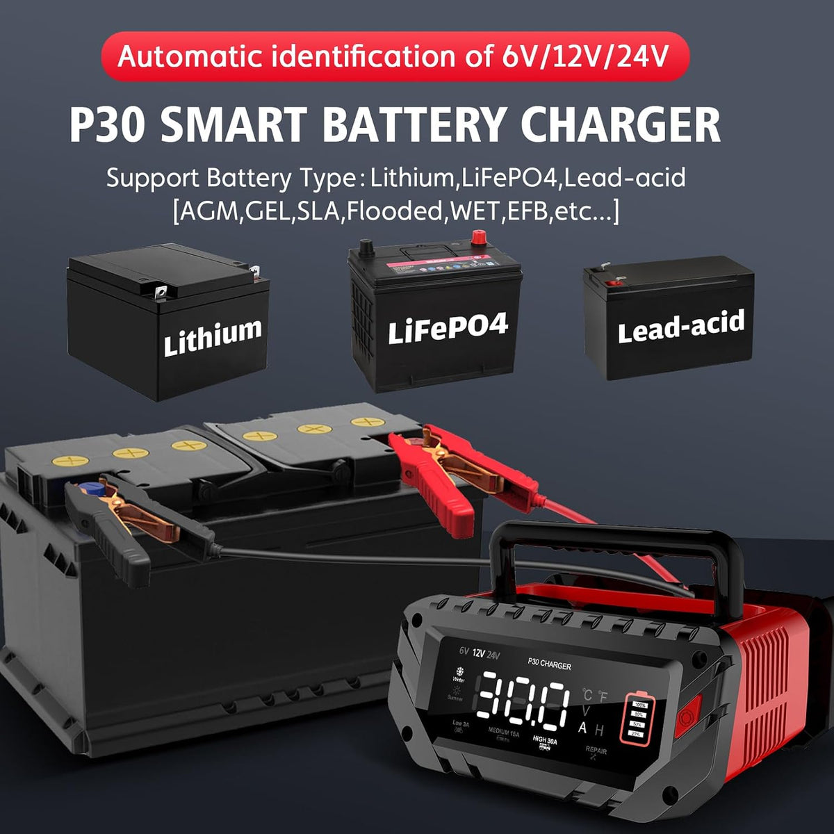 30 Amp 6V/12V/24V Smart Trickle Charger, Car Battery Charger, Lithium, Lifepo...