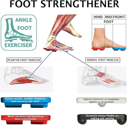 Ankle Foot Exerciser® Ankle Strengthener - Image 4