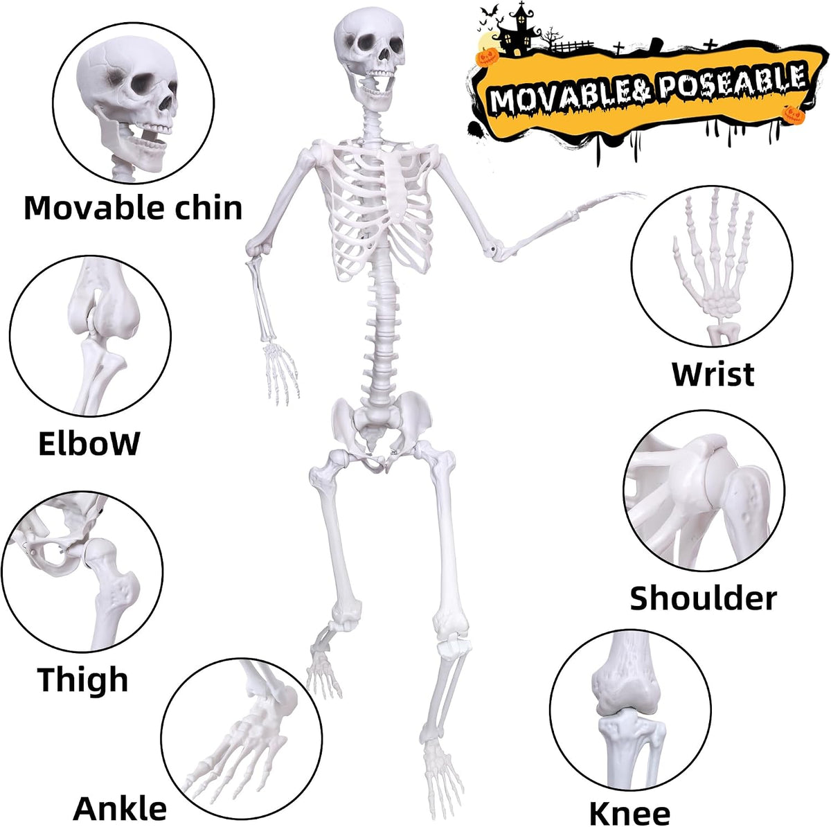 Wocst 6Ft Life Size Skeleton Posable Skeleton with Movable Joints Halloween F...