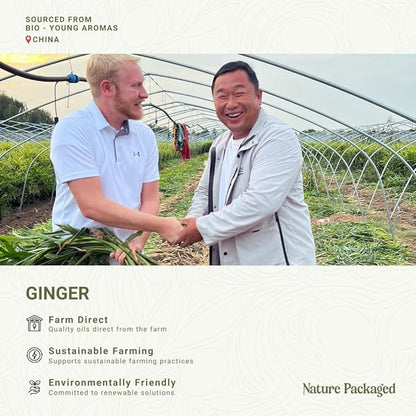 Ginger Essential Oil - Image 3