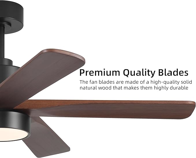 WINGBO 48 Inch DC Ceiling Fan - Image 8