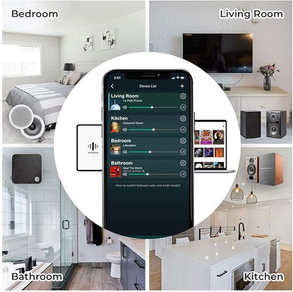 Arylic Up2stream A50+ WiFi &Bluetooth Amplifier - Image 6